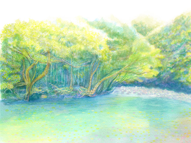 屋久島　椨川淵
