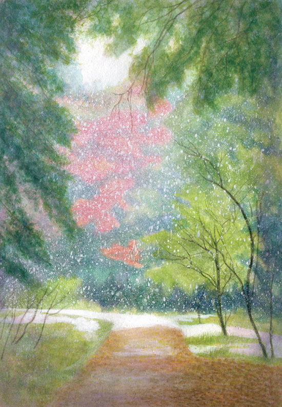 11月の雪