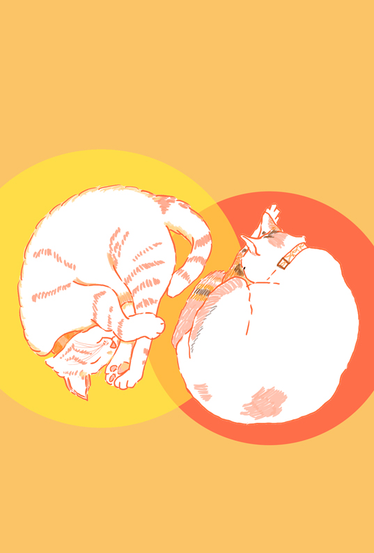 ネコ