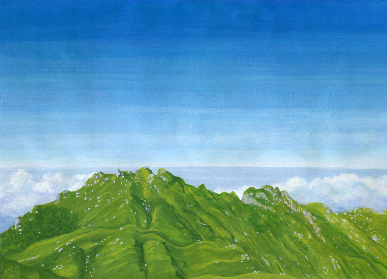 屋久島　永田岳