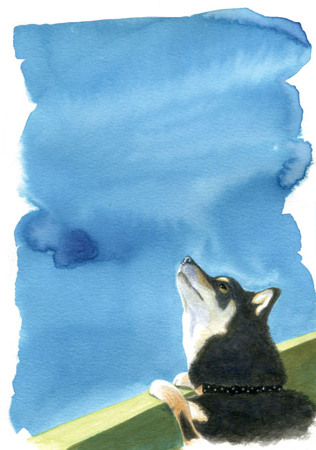 空のにおい