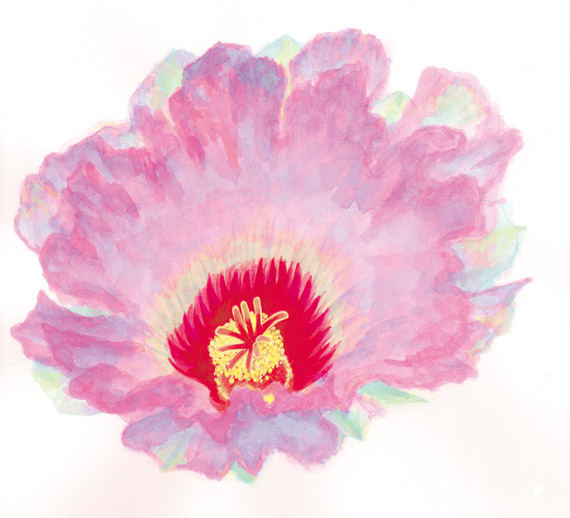 サボテンの花